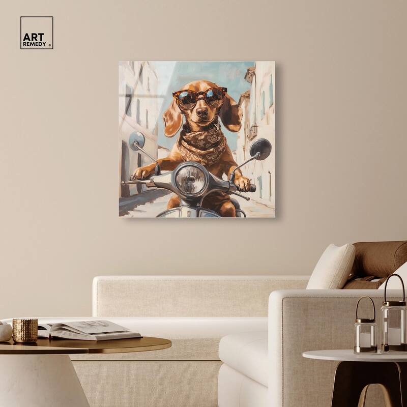 Doxxie on a Scooter Drive Acrylic by Art Remedy, Ready to Hang