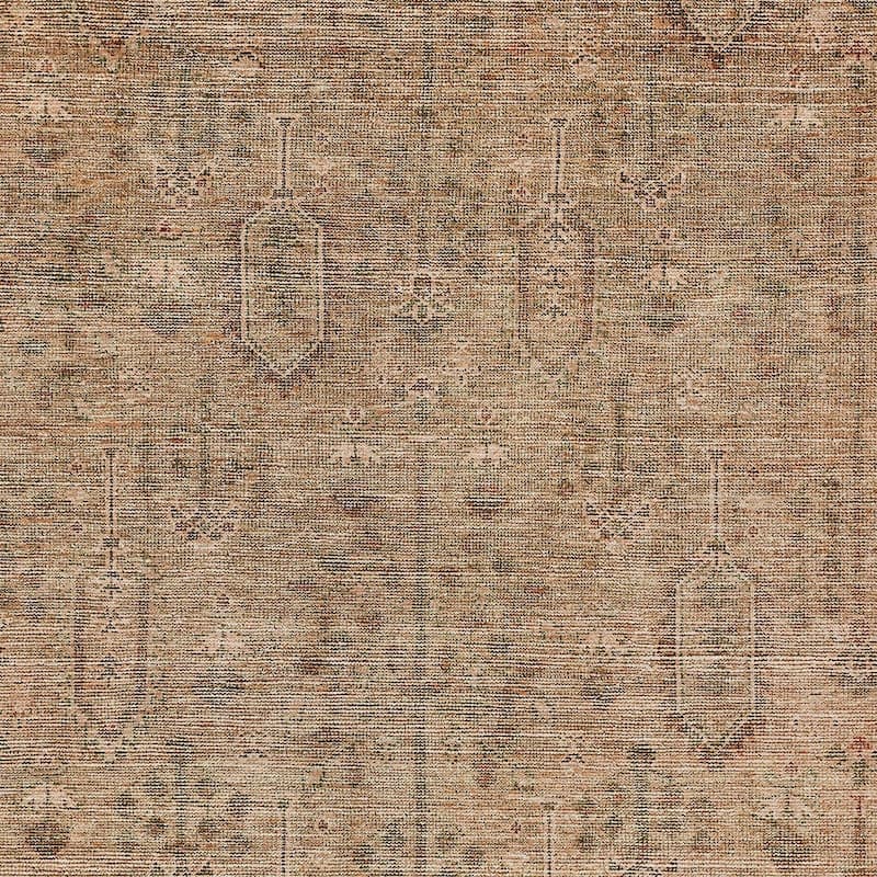 HomeRoots Southwestern Transitional Rectangle Outdoor Rug