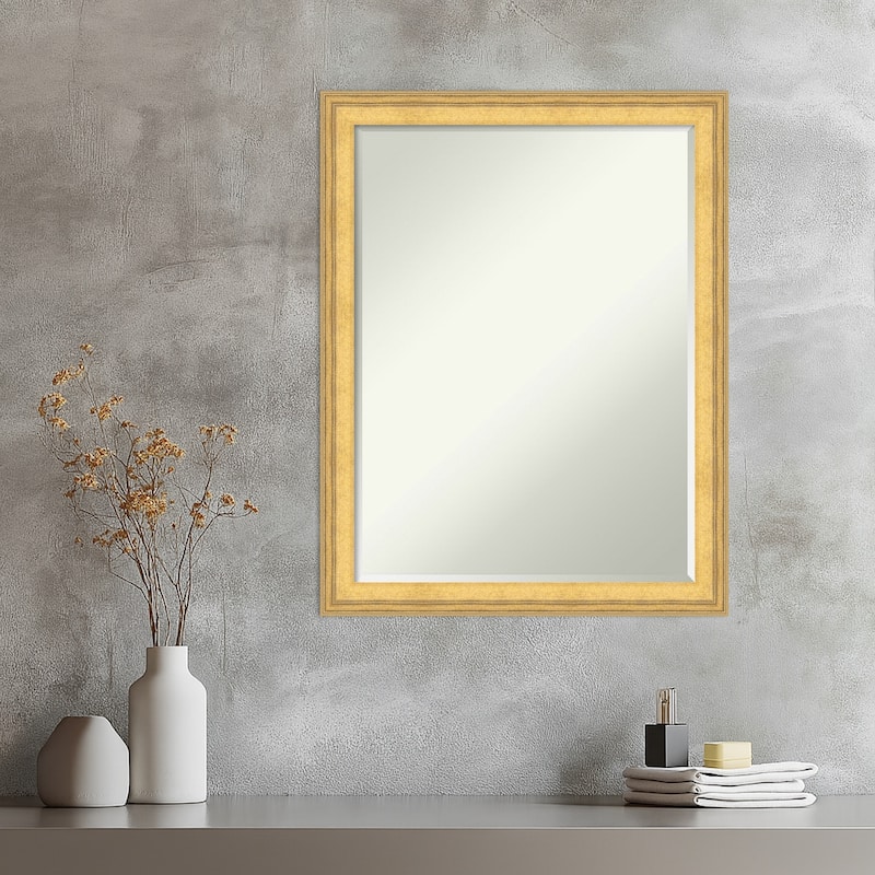 Owen Half-Inch-Bevel Framed Wall Mirror - Owen Gold - 21 x 27 in