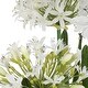 preview thumbnail 2 of 2, Uttermost 60221 Purity Agapanthus 30" Wide Faux Flowers Potted