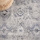 preview thumbnail 35 of 40, SAFAVIEH Odyssey Dido Shabby Chic Oriental Rug