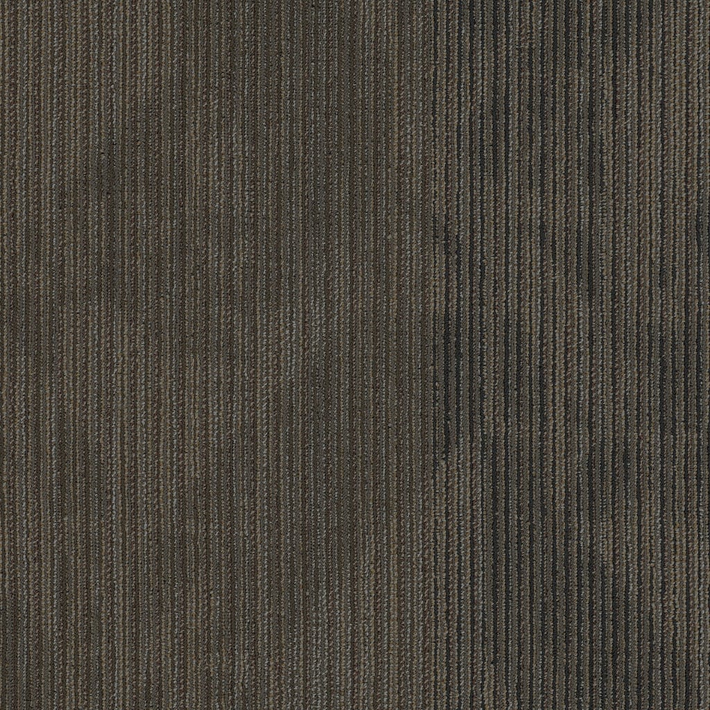 Shaw Philadelphia Commercial Declare 24" x 24" Glue Down Carpet Tile -