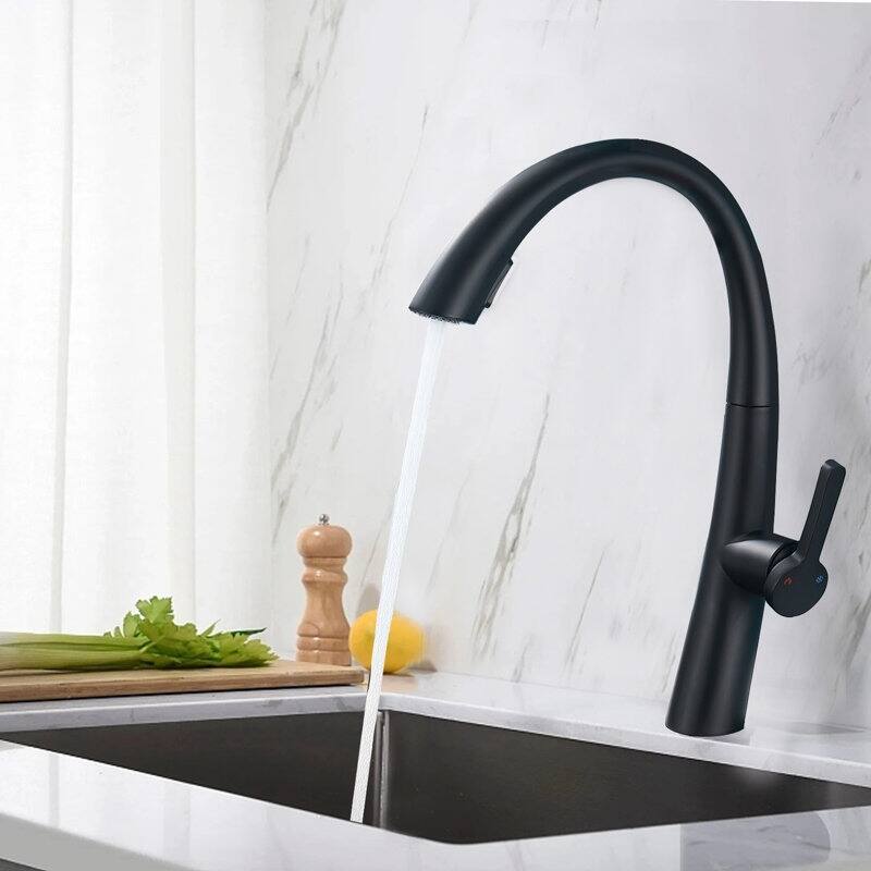 Single Handle Stainless Steel Pull Out Kitchen Faucet - Black
