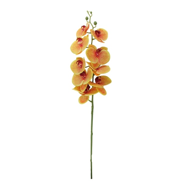 40" Mustard Yellow and Burgundy Phalaenopsis Orchid Artificial Stemmed Flower Spray - N/A