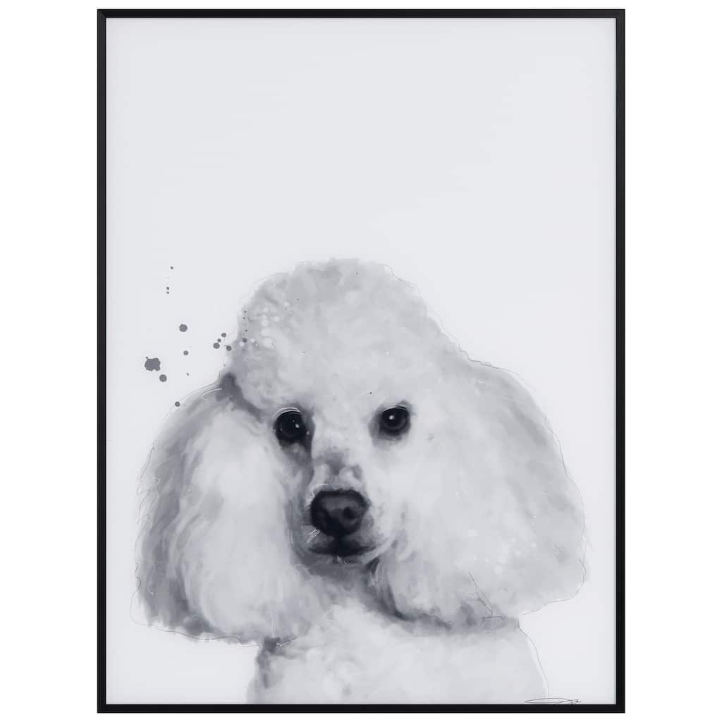 "Poodle" Black and White Pet Portraits on Reverse Printed Art Glass, Minimally Encased on Black Anodized Aluminum Frame