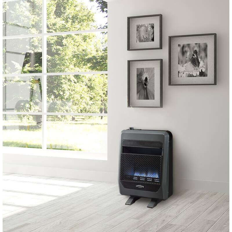 Bluegrass Living B20TPB-BB 20,000 BTU Liquid Propane Blue Flame Space
