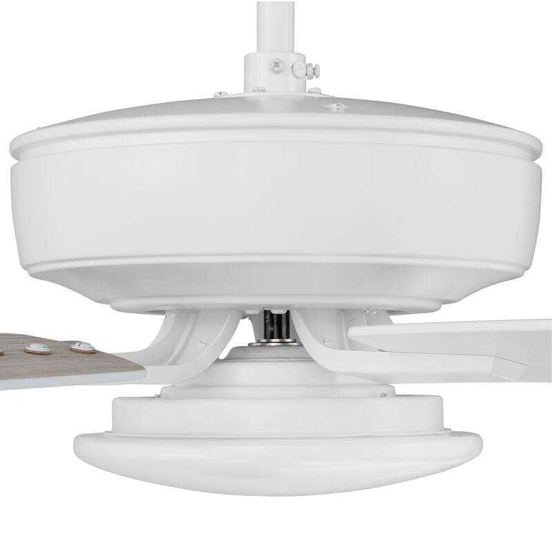 Craftmade Pro Plus 52" 5 Blade LED Ceiling Fan with Wall Control