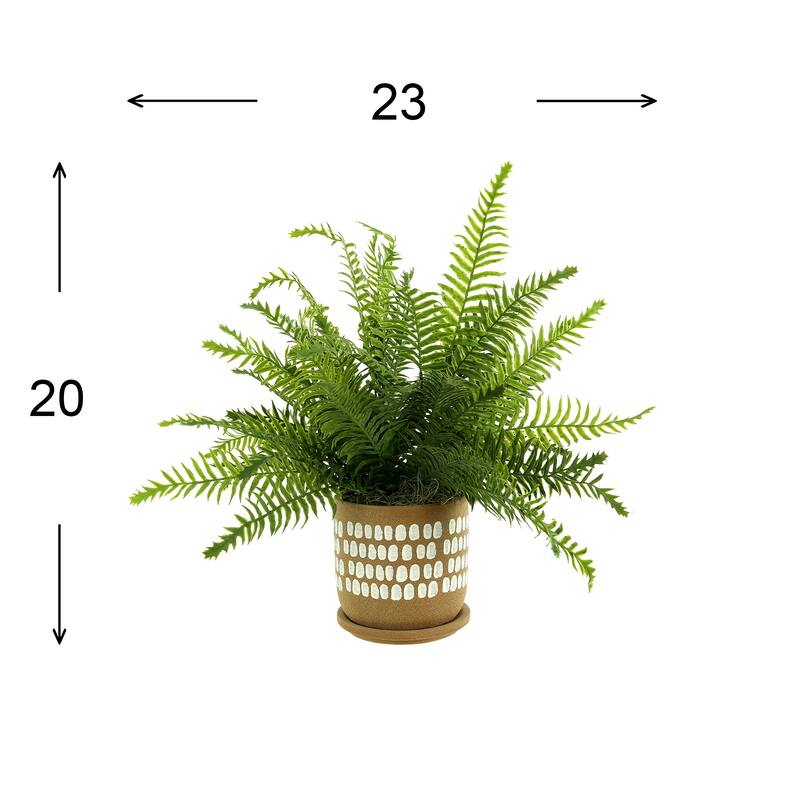 Ferns Arranged in Spotted Ceramic Pot - Green
