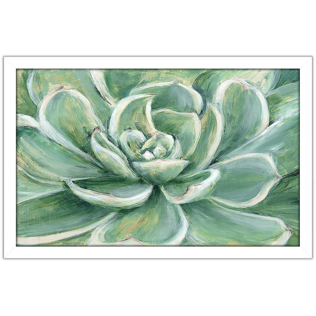 "Succulent" Print on Acrylic.