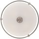 preview thumbnail 3 of 2, Griffin 4-Light Flush Mount in Antique Nickel