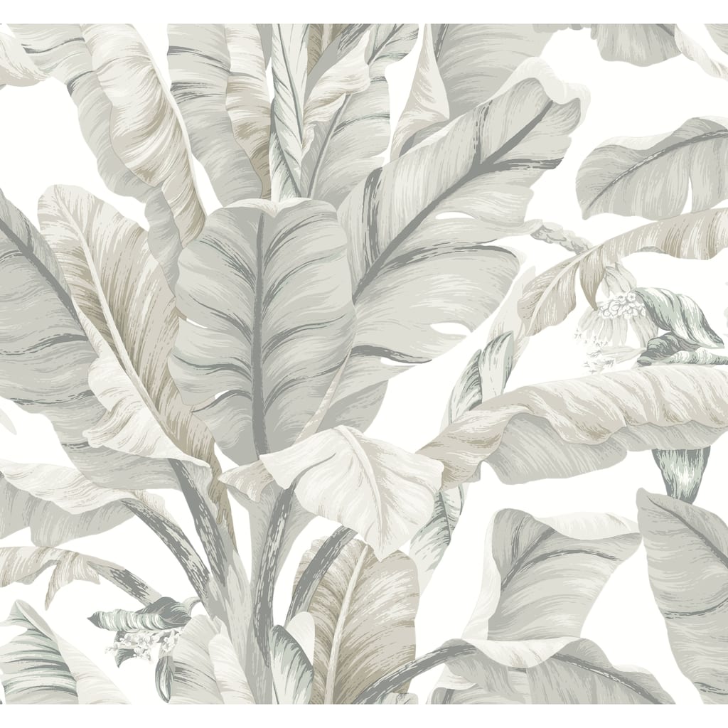 Miramar Vinyl Banana Leaf Wallpaper 27 in x 27 ft = 60.75 sq ft