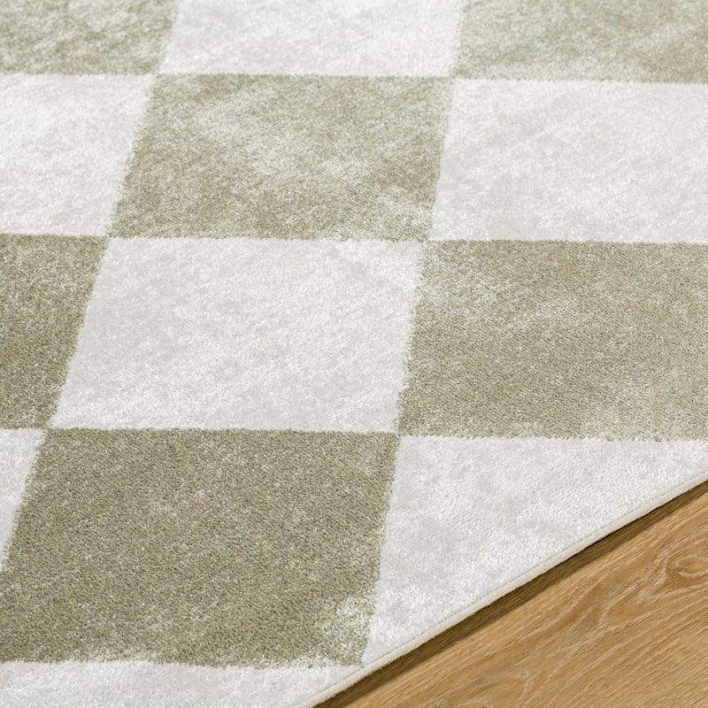 Livabliss Lillian Modern & Contemporary Checkered Indoor/Outdoor Area Rug