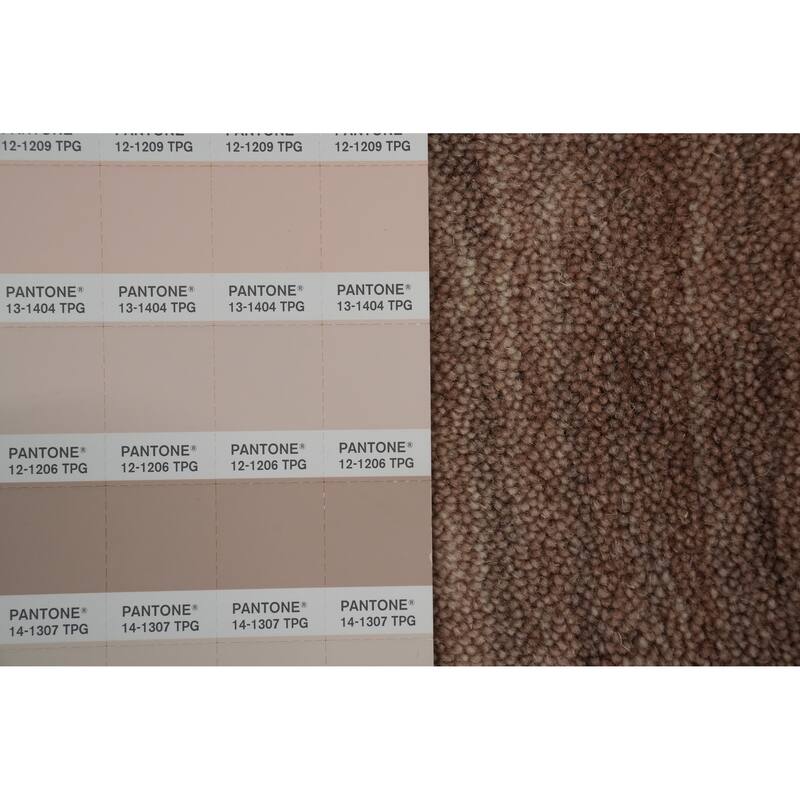 Hand Knotted Oriental 100% Wool Carpet Tribal Animal Pictorial Brown Gabbeh Area Rug - 7' 9'' X 8' 2''