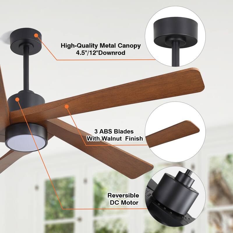 WINGBO 54" and 64" 5 ABS Blades DC Motor Indoor Ceiling Fan with Light & Remote