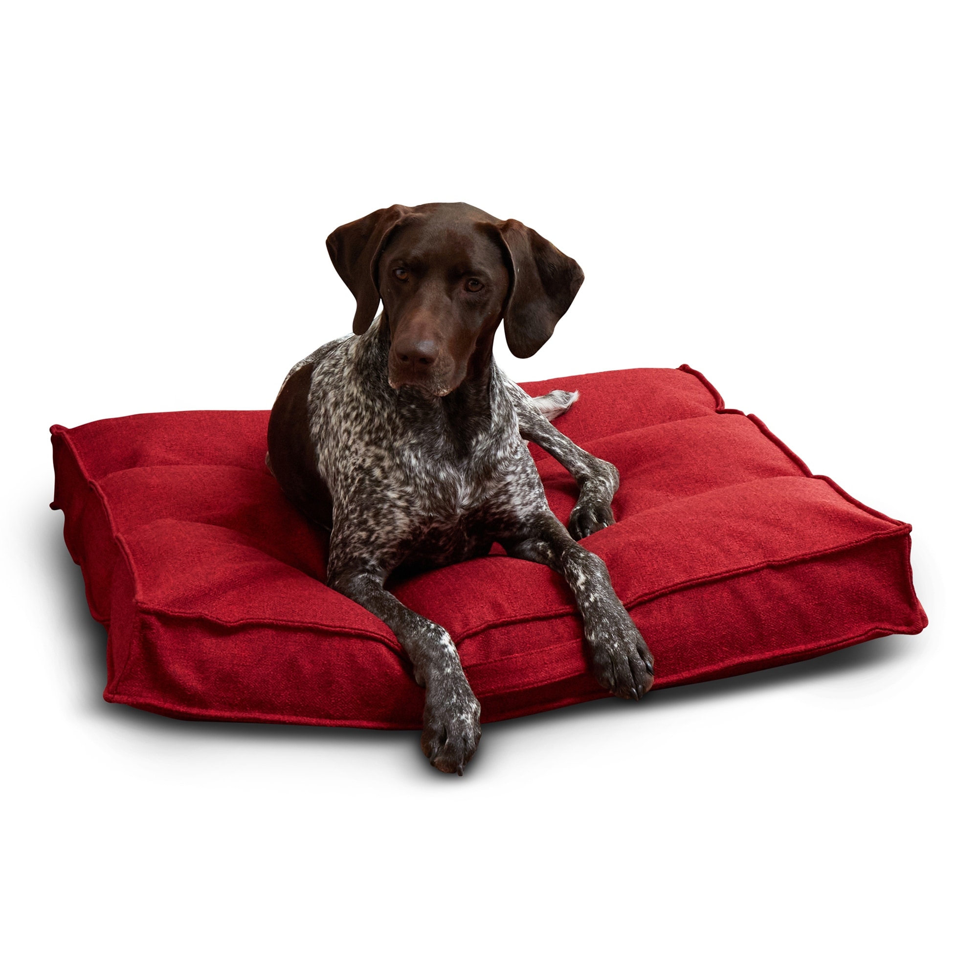 Milo nest dog bed outlet