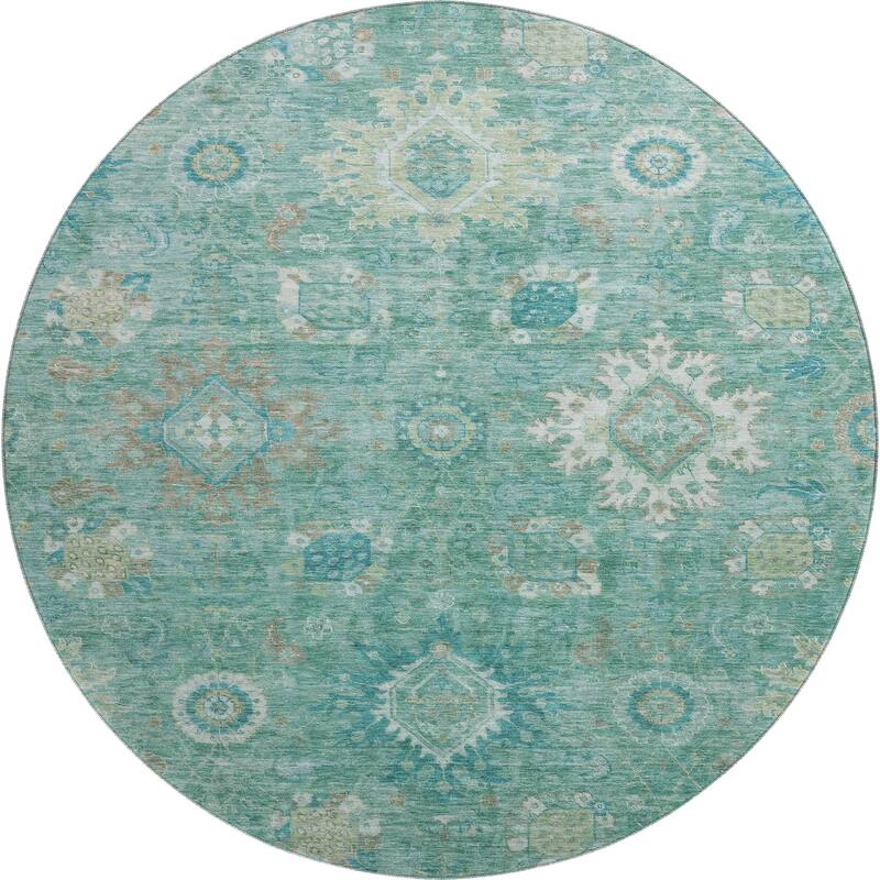 Premium Washable Super Soft Traditional Kashan Mayfield Rug