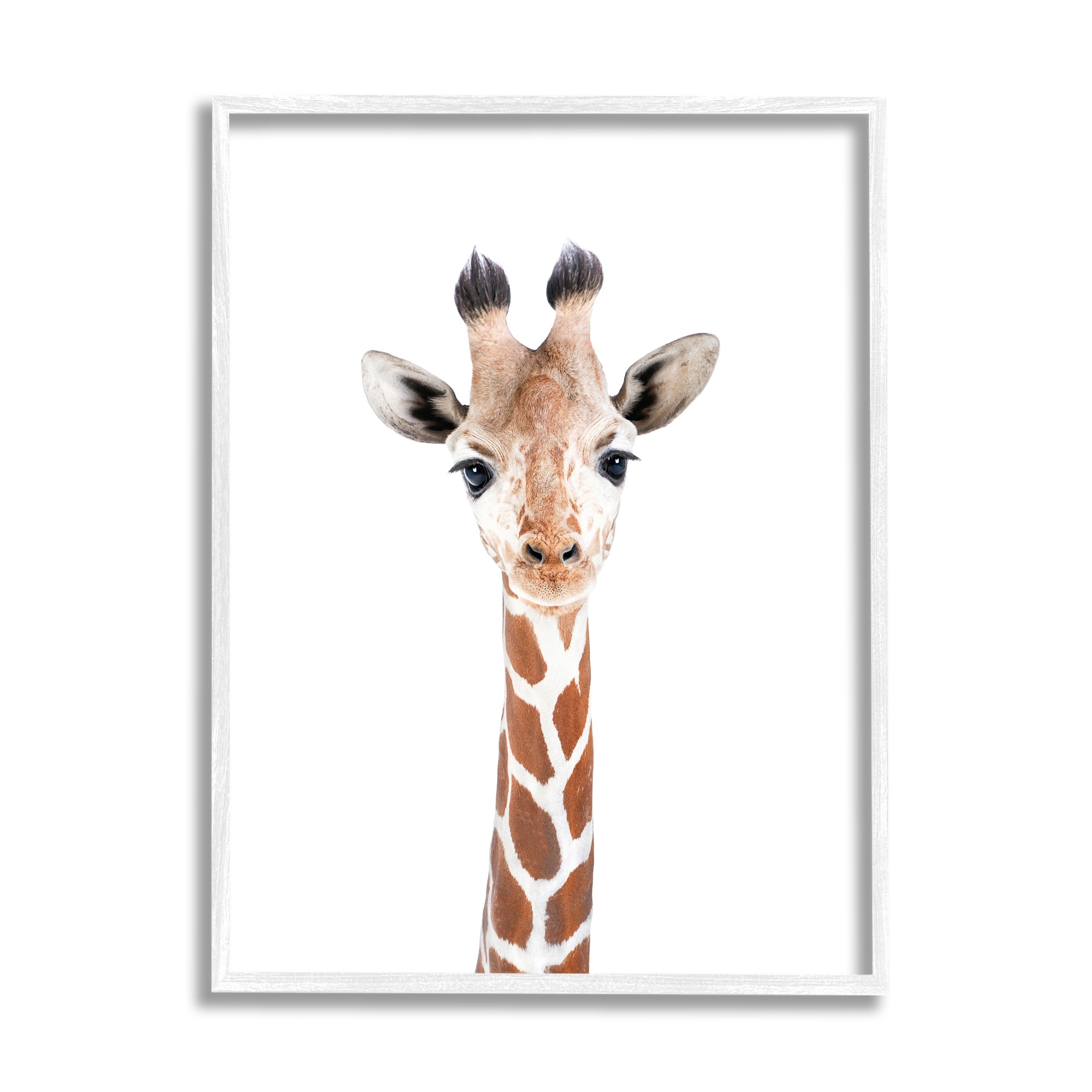 Stupell Giraffe on White Portrait Framed Giclee Art Design by Sisi and Seb