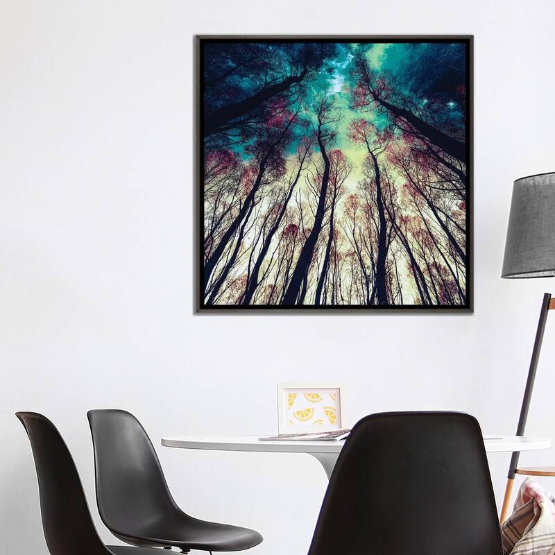 iCanvas "Nordic Lights" by Riza Peker Framed