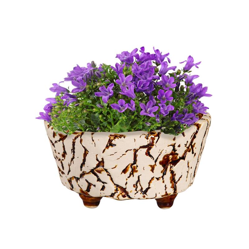 7" Ceramic Crackled Planter