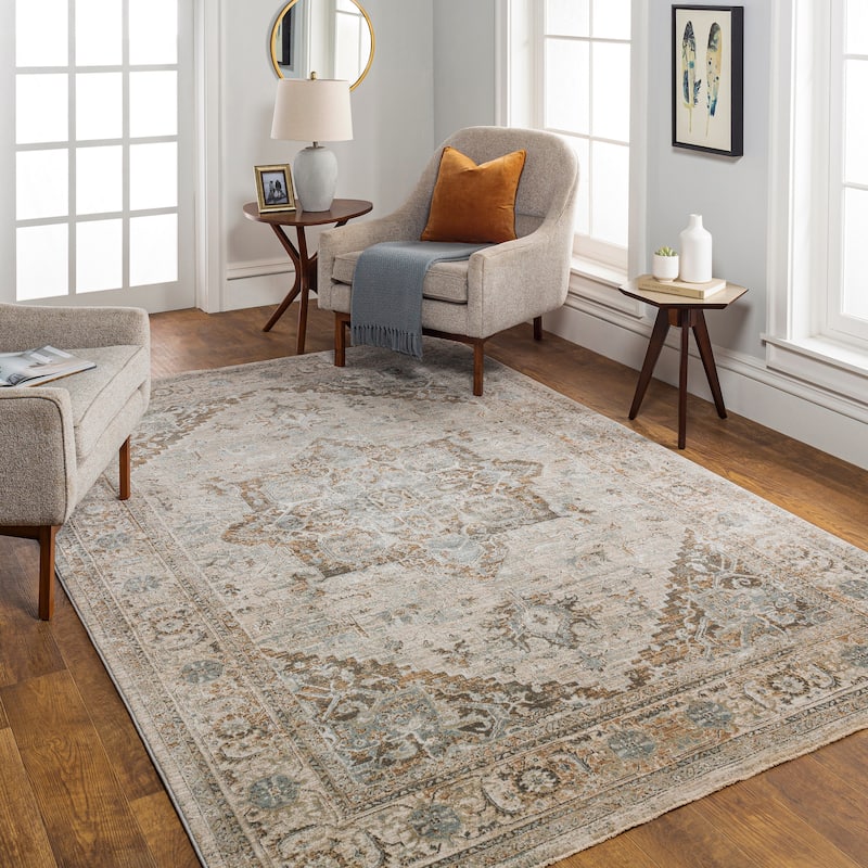 Artistic Weavers Ryla Vintage Distressed Area Rug - 2' x 3' - Gray