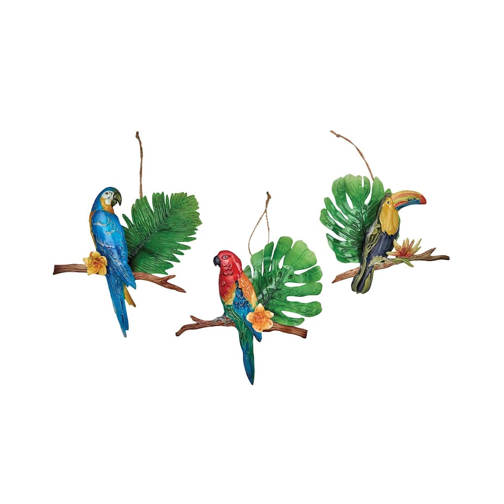 Rainforest Bird Ornament, Set of 3 - Set of 3
