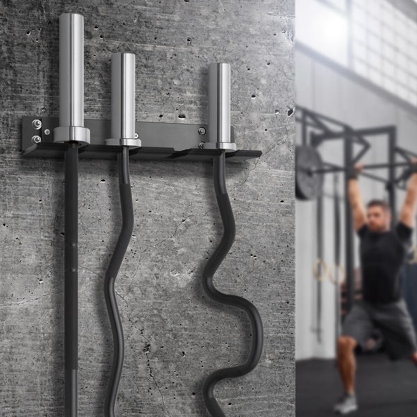 Vertical Mounted Barbell Holder 4 Bar Wall Mount for 2
