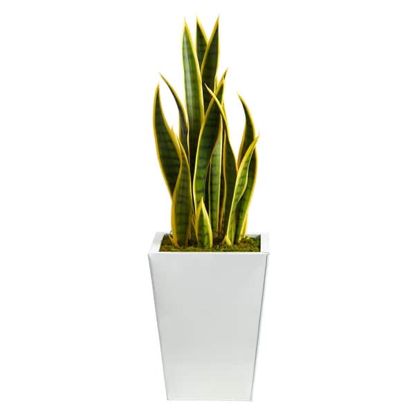 Artificial Snake Plant in Planter - 31" Tall Faux Plant with Black Metal  Base - Home Decor Accent - Green - Bed Bath & Beyond - 43388819