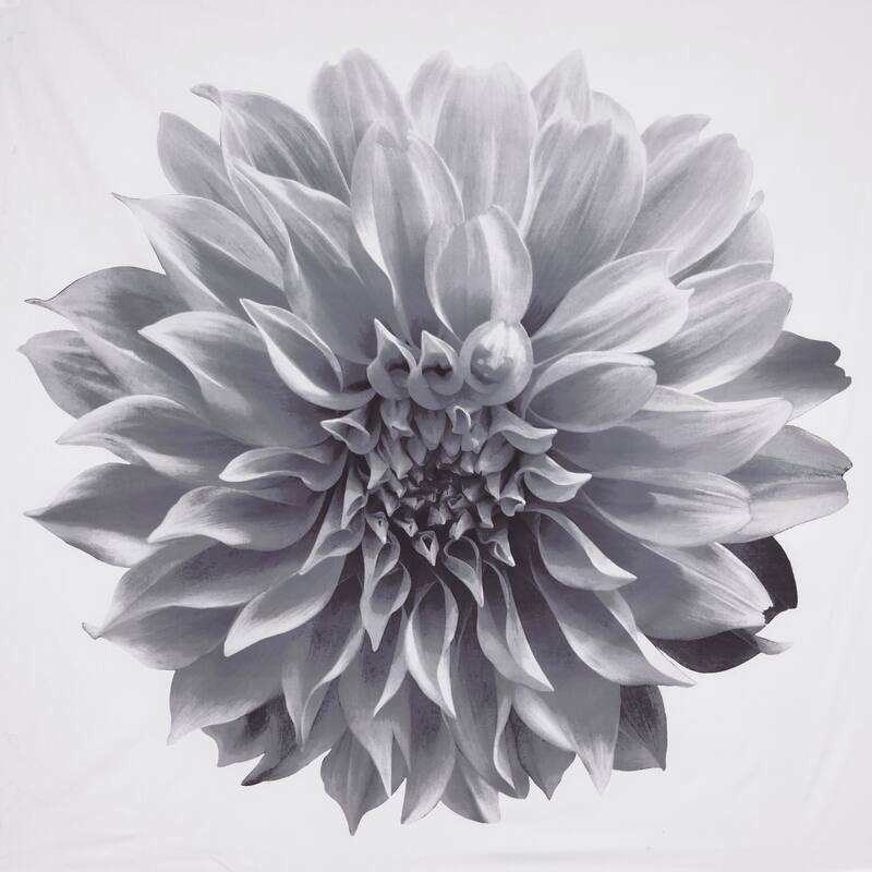 Madison Park Quinn Printed Floral Cotton Shower Curtain