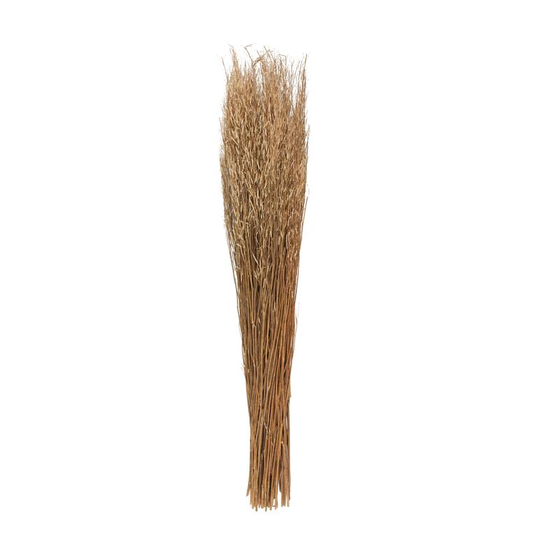 Dried Plant Tall Sticks Home Decor Natural Foliage with Grass - Brown - Roche River Decor