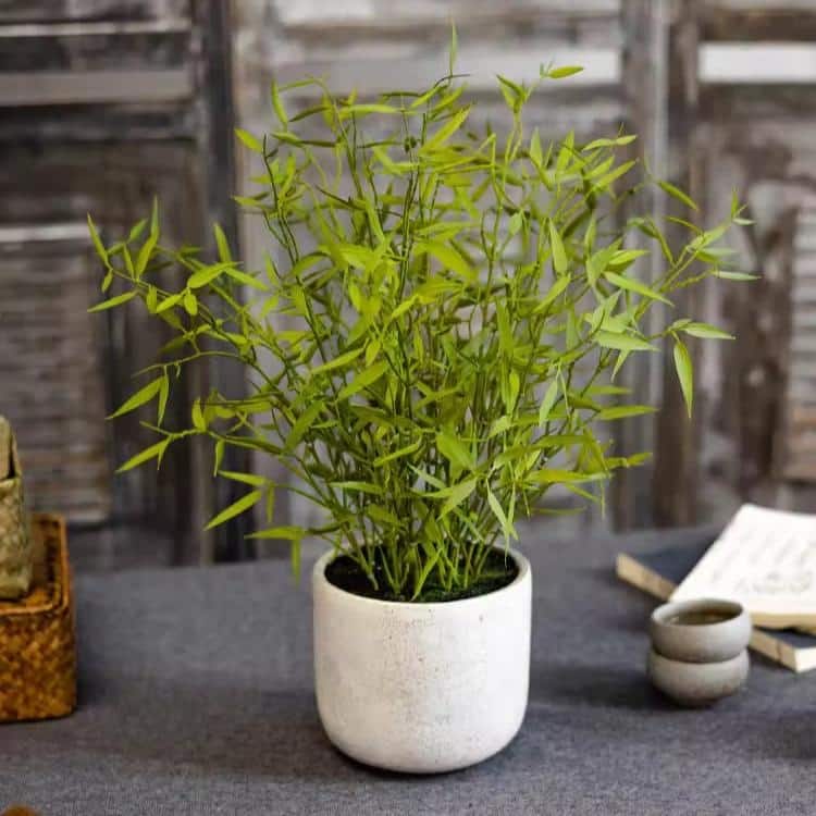 RusticReach Realistic Mini Bamboo Leaf Potted Plant