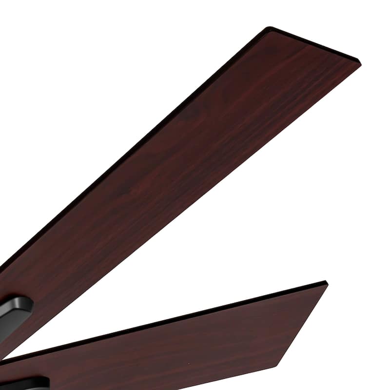 Breezary 52/42-IN LED Ceiling Fan with Light Kit and Remote-5 Blade