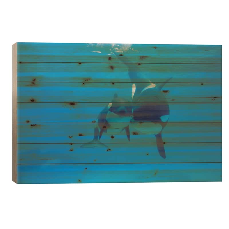 Orca Mother And Newborn Baby, Sea World, Kamogawa, Japan Print On Wood by Hiroya Minakuchi - Multi-Color - 26x40x1.5