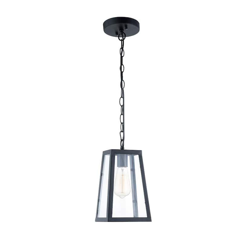 Light Society Serendipity Black/Clear Glass/Iron/Metal Pendant Lamp - Matte Black/Clear
