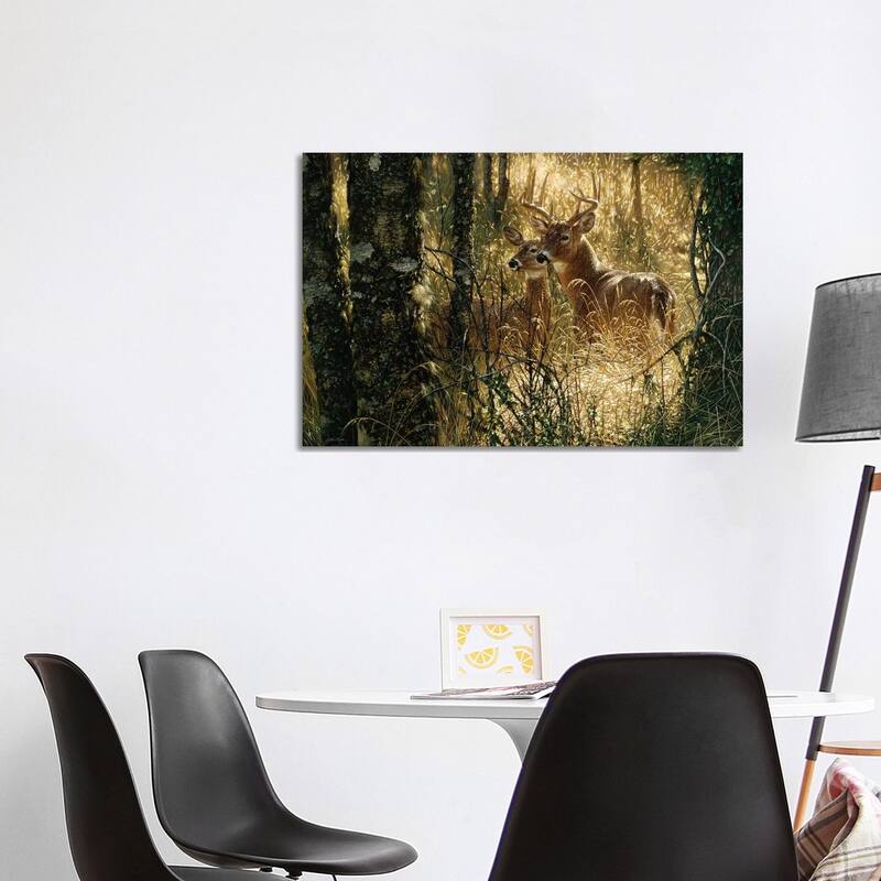iCanvas "A Golden Moment - Whitetail Deer, Horizontal" by Collin Bogle Canvas Print - 26x40x1.5