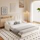 Option Beige