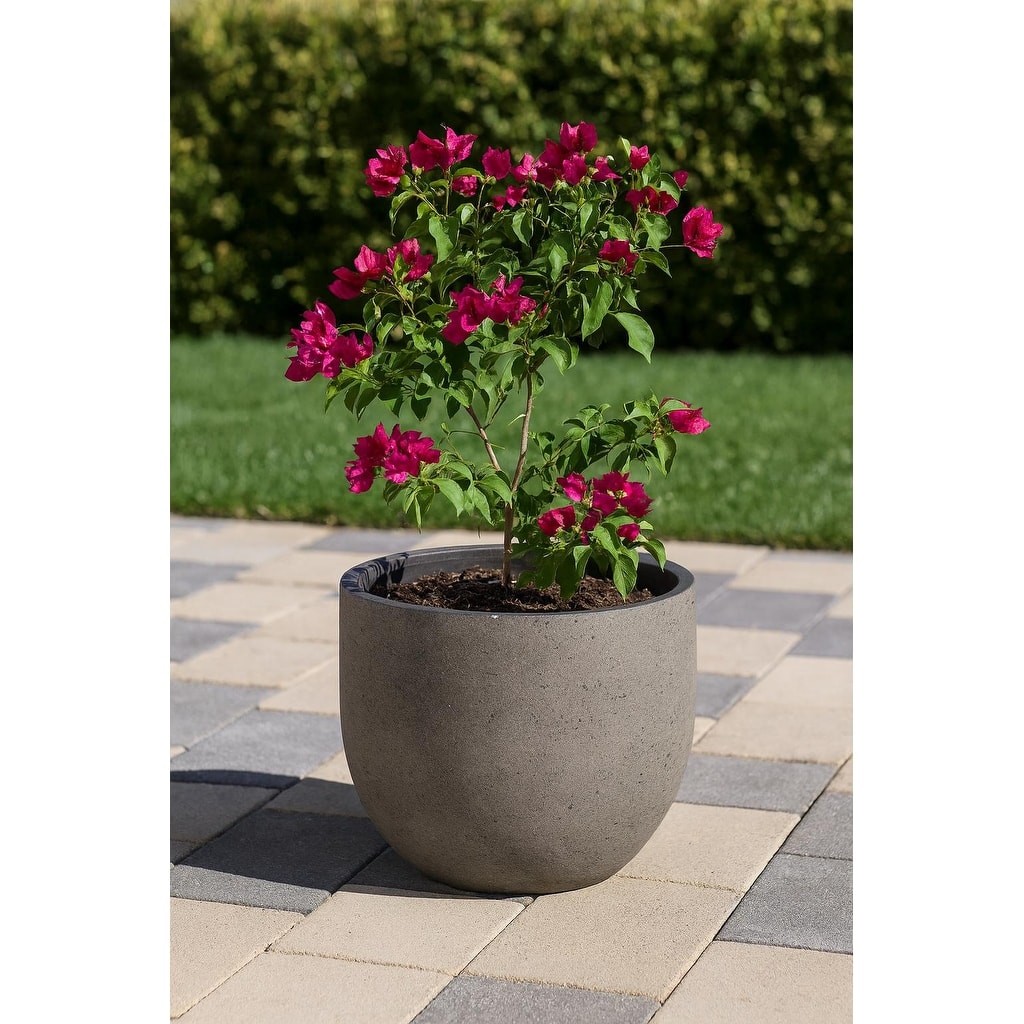 Grigio XL New Egg Planter 21.75"W x 18"H Fiberglass Stone Resin, Lightweight, Frost & UV Resistant