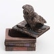 preview thumbnail 4 of 2, 4.72 inches H Bronze Snow Owl Flap Wings On Books Trinket Box(Mbz+Color) made of Cold Cast Bronze