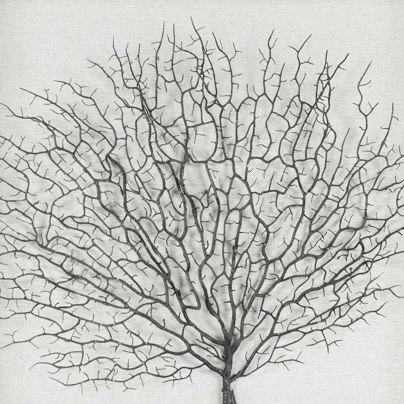 HUJI Silver Withered Tree Shadow Box Wall Decor