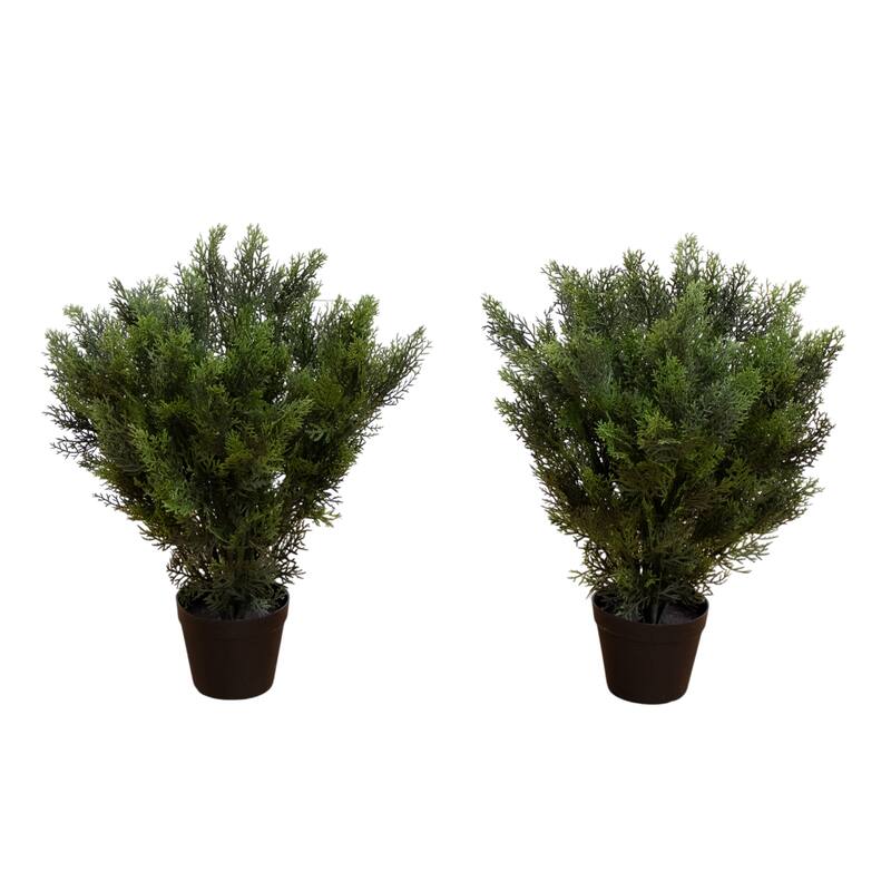 Potted Cedar Pine Artificial Tree - 2' - Set of 2