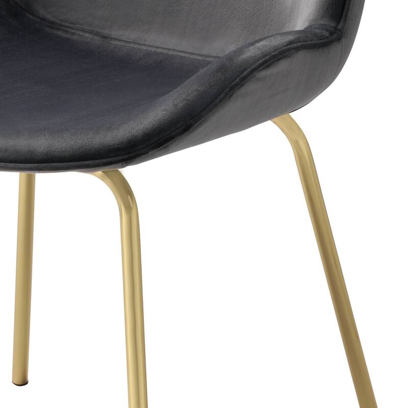 Chuchip Velvet & Gold Finish Side Chair