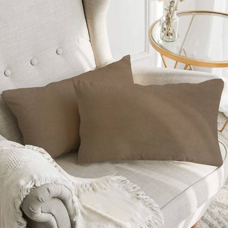 A1HC Set of 2 Luxurious Fine Soft Velvet Throw Pillow Covers Only, For Sofas, Beds, Vibrant Colors and Hidden Zipper