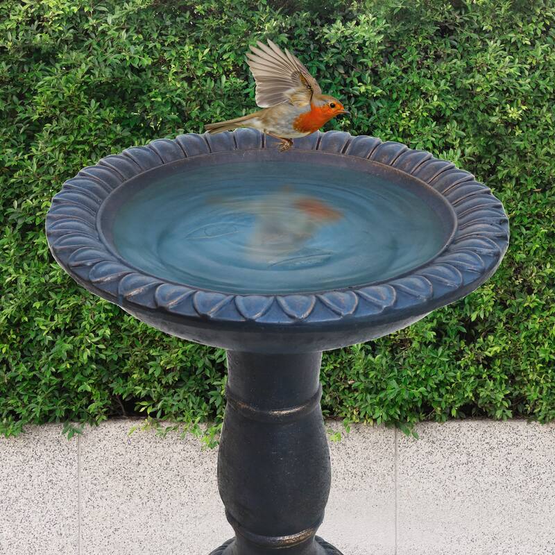 Sunnydaze Façade du Soleil Reinforced Concrete Bird Bath - 26"