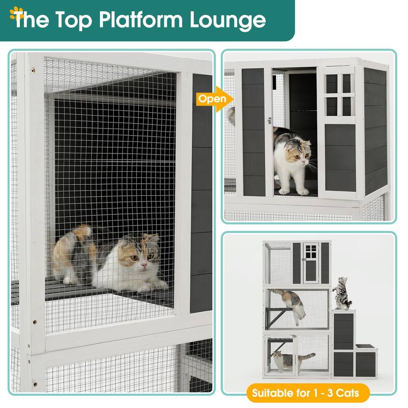 3-Tier Wooden Cat House with 4 Platforms and 2 doors and a Jump Box