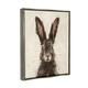 Stupell Brown European Rabbit Hare Portrait Painting Floater Frame - On ...