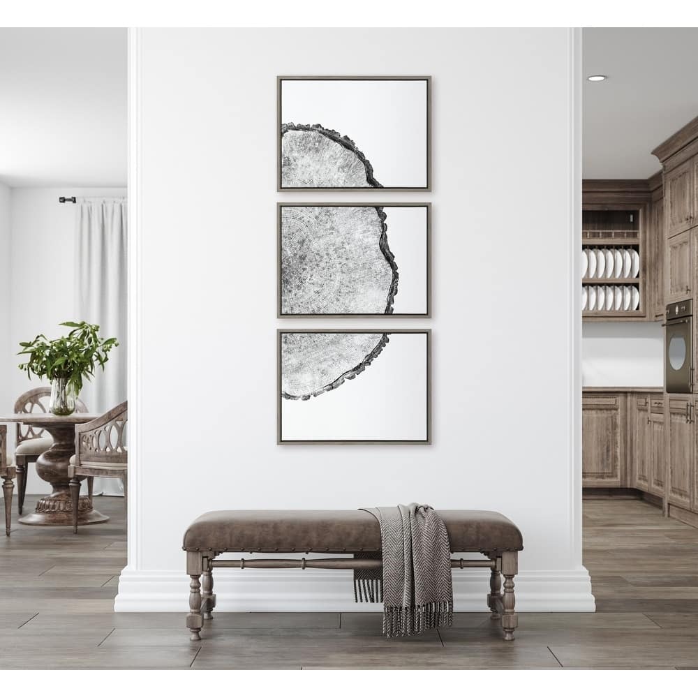 Kate and Laurel Sylvie Tree Rings Set Canvas by Emiko and Mark Franzen