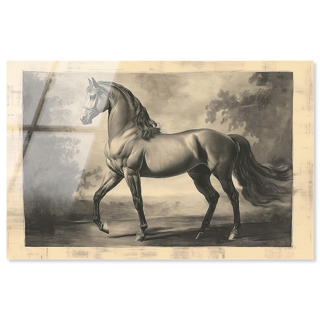 Sketch of a Stallion Acrylic by Art Remedy, Ready to Hang