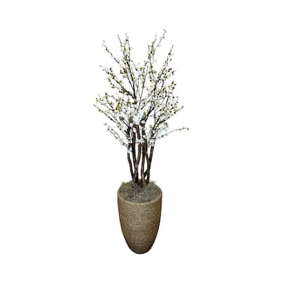 6 ft Cherry Blossom Tree Arranged in Fiberstone Container with Rope - Green