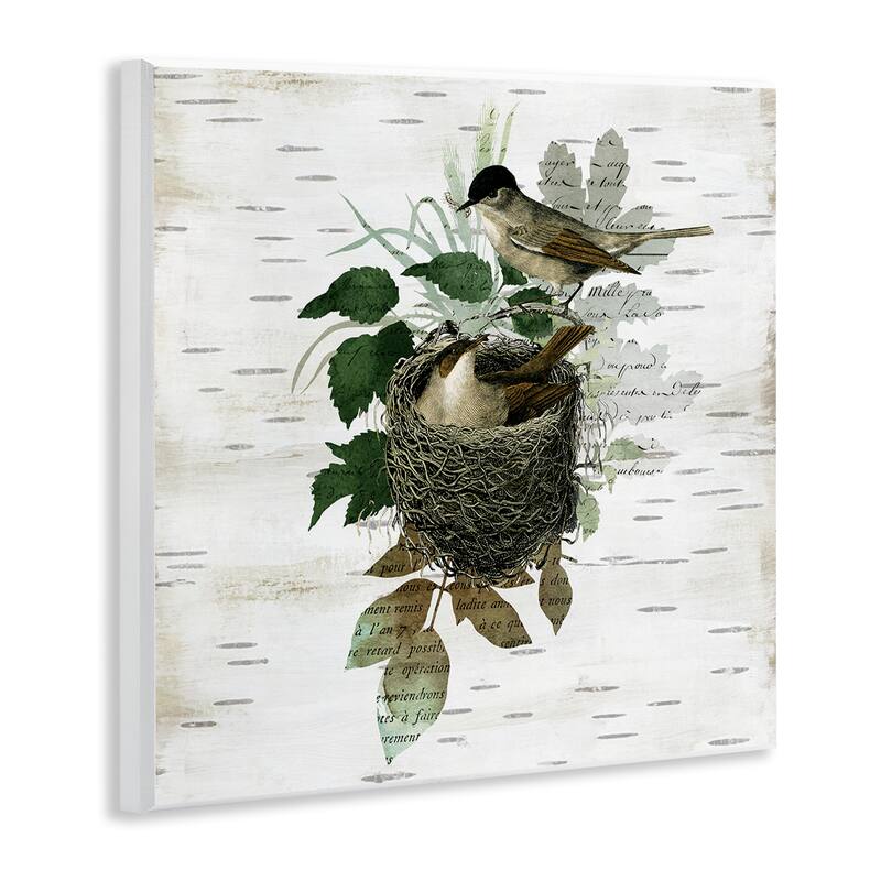 Stupell Birds in Vintage Nest Wall Plaque Art Design By Susan Arnot