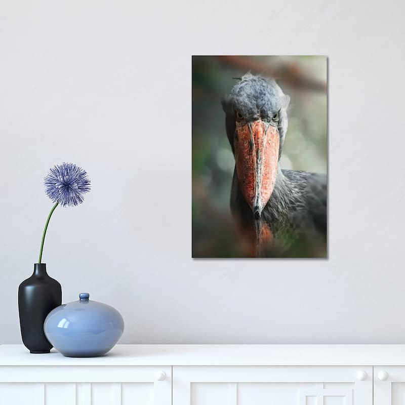 iCanvas "The Shoebill" by Zenja Gammer Canvas Print - 18x12x1.5