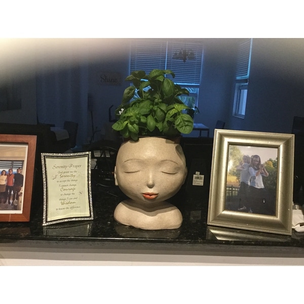 Home & Living Planters & Pots plants look like hair Head of a lady
